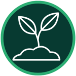 Detección de Maleza